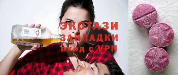 ECSTASY Бородино