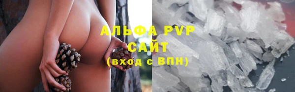 ECSTASY Бородино