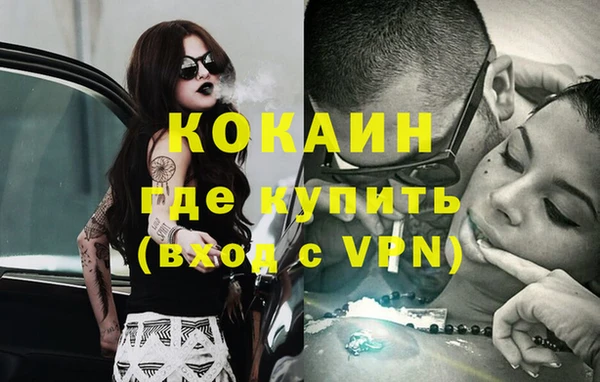 ECSTASY Бородино