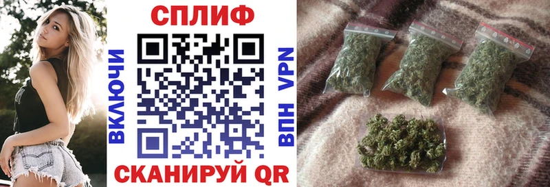 сколько стоит  Кемь  блэк спрут ссылки  Конопля Amnesia 